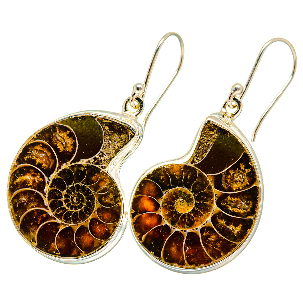 Ammonite Fossil Earrings handcrafted by Ana Silver Co - EARR419412