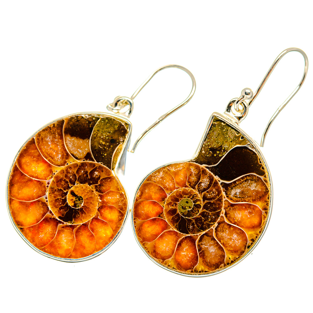 Ammonite Fossil Earrings handcrafted by Ana Silver Co - EARR419421