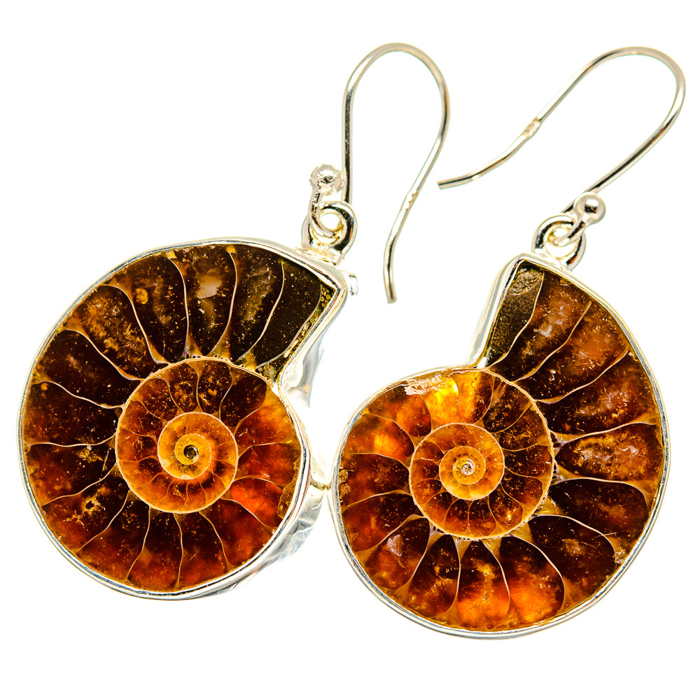 Ammonite Fossil Earrings handcrafted by Ana Silver Co - EARR419429