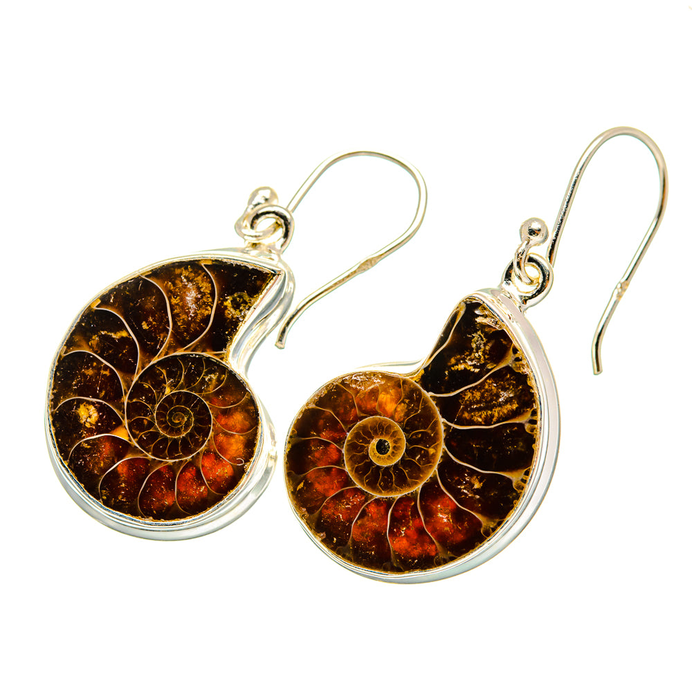 Ammonite Fossil Earrings handcrafted by Ana Silver Co - EARR419439