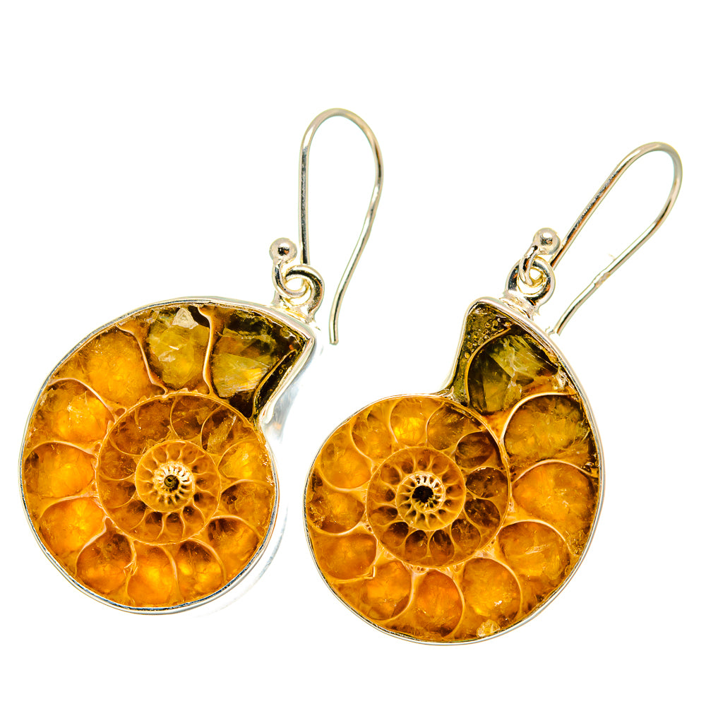 Ammonite Fossil Earrings handcrafted by Ana Silver Co - EARR419442