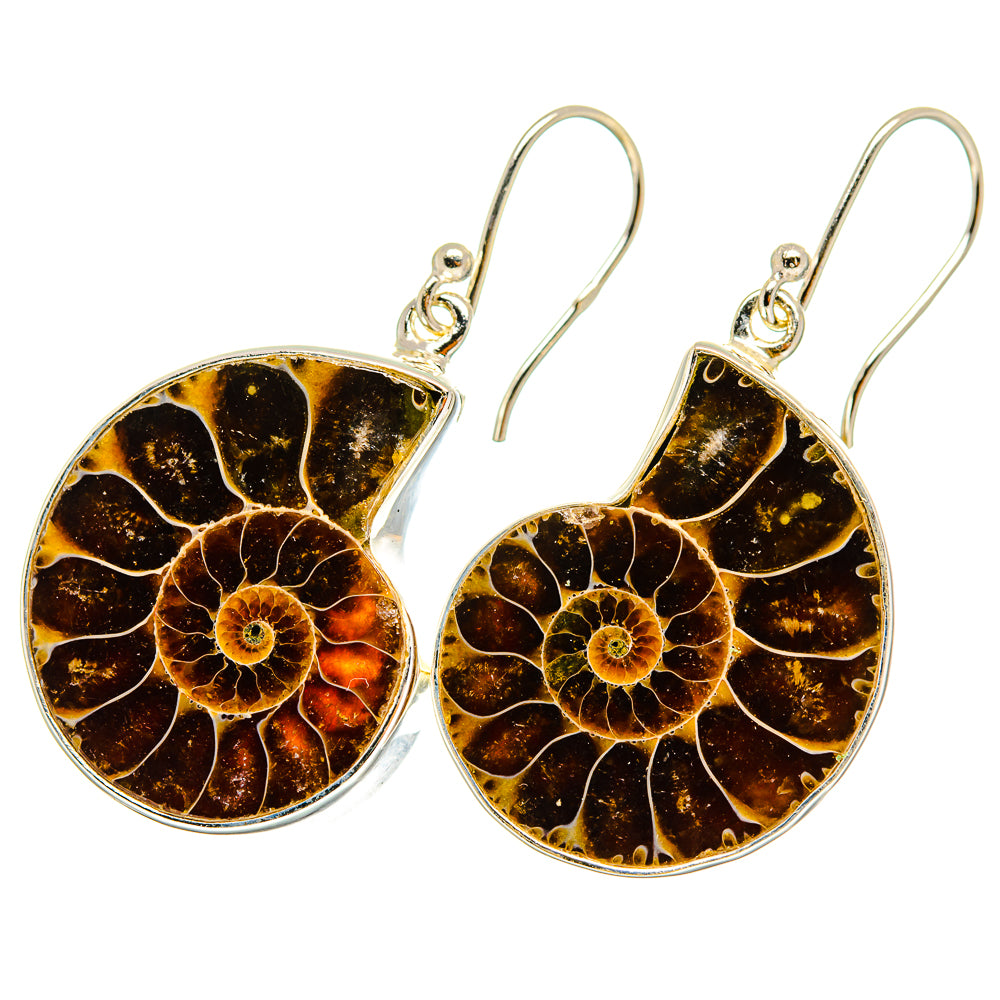 Ammonite Fossil Earrings handcrafted by Ana Silver Co - EARR419459