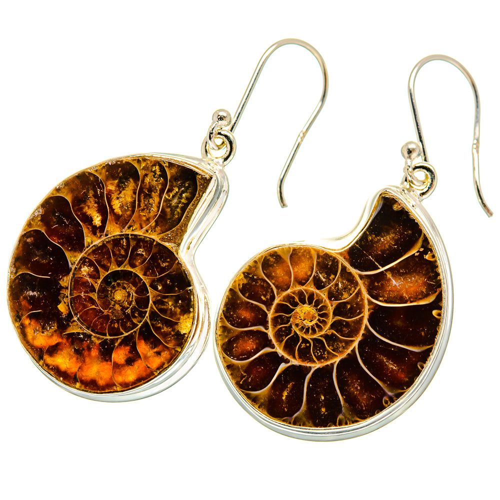 Ammonite Fossil Earrings handcrafted by Ana Silver Co - EARR419483