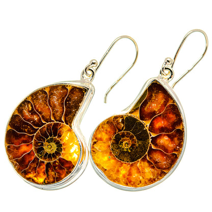 Ammonite Fossil Earrings handcrafted by Ana Silver Co - EARR419505