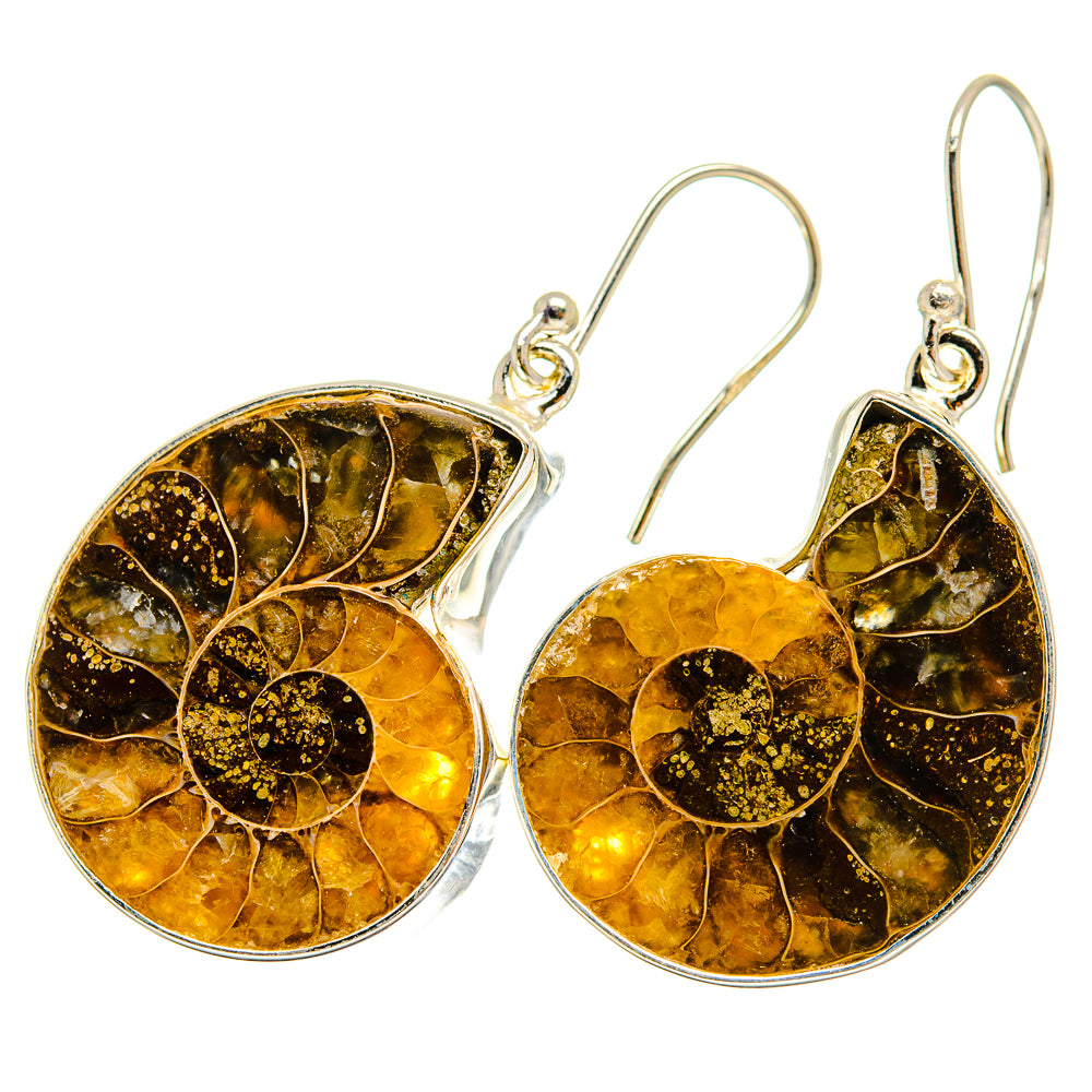 Ammonite Fossil Earrings handcrafted by Ana Silver Co - EARR419508
