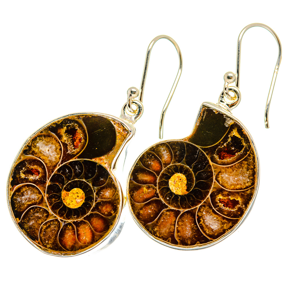 Ammonite Fossil Earrings handcrafted by Ana Silver Co - EARR419512