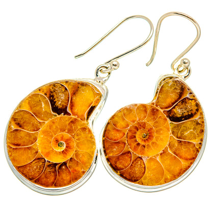 Ammonite Fossil Earrings handcrafted by Ana Silver Co - EARR419531