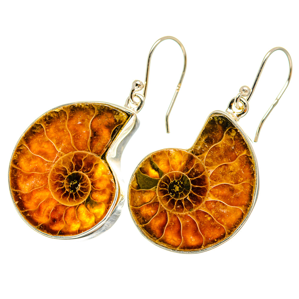 Ammonite Fossil Earrings handcrafted by Ana Silver Co - EARR419535