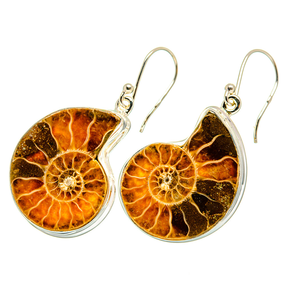 Ammonite fossil drop earrings, full circular ammonite face with silver hooks, amber.
