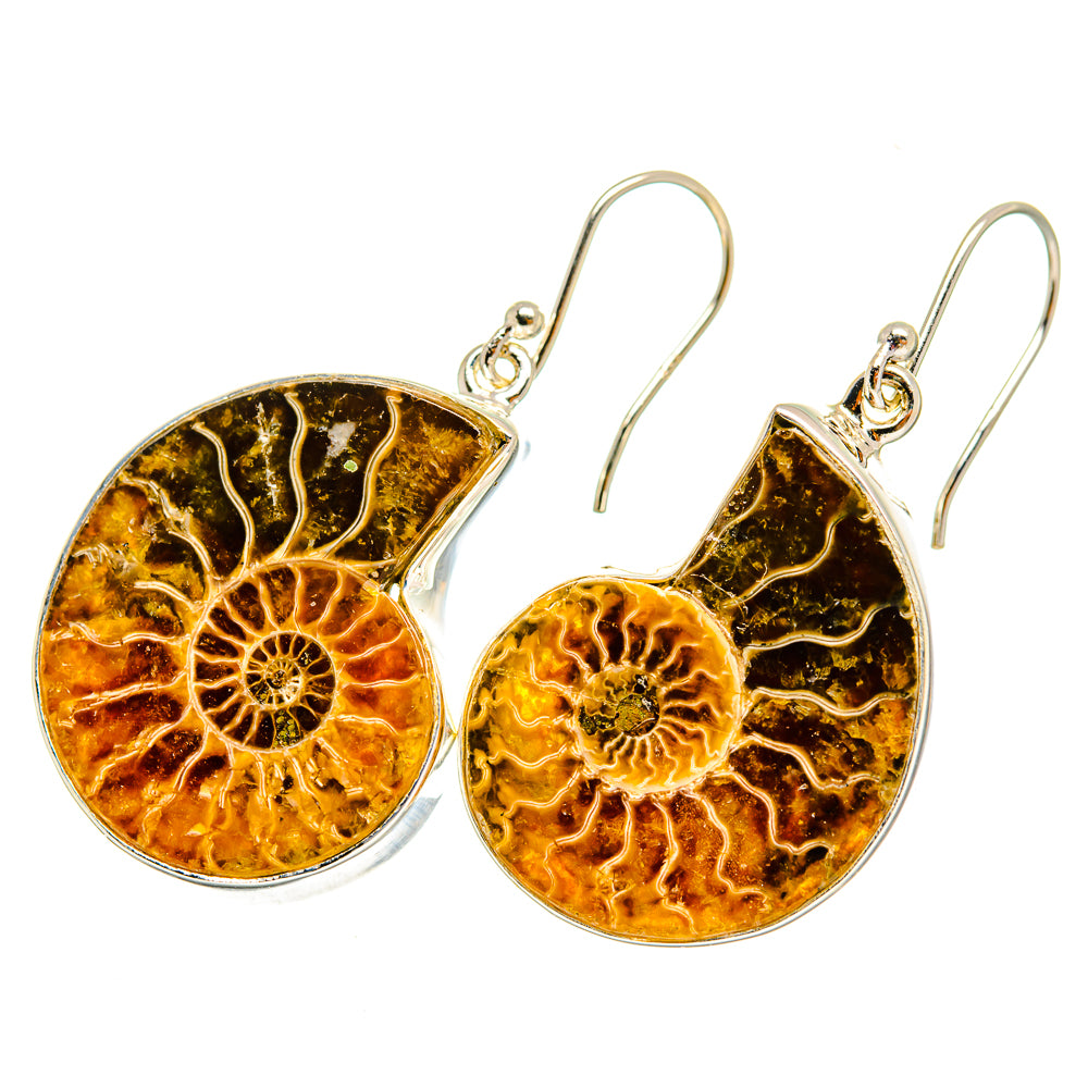 Ammonite Fossil Earrings handcrafted by Ana Silver Co - EARR419619