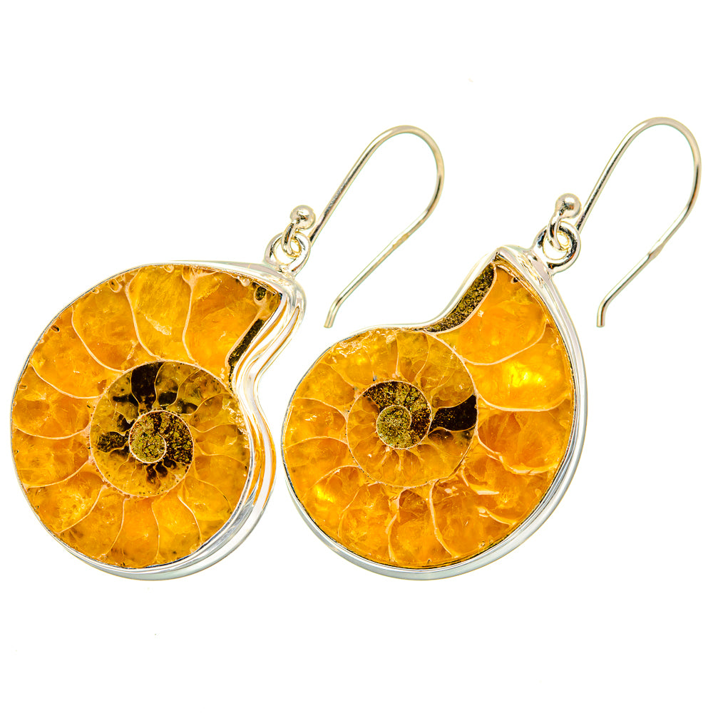 Ammonite Fossil Earrings handcrafted by Ana Silver Co - EARR419656