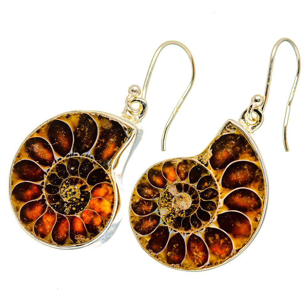 Ammonite Fossil Earrings handcrafted by Ana Silver Co - EARR419657