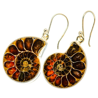 Round ammonite fossil earrings with gold-brown pattern and silver hooks