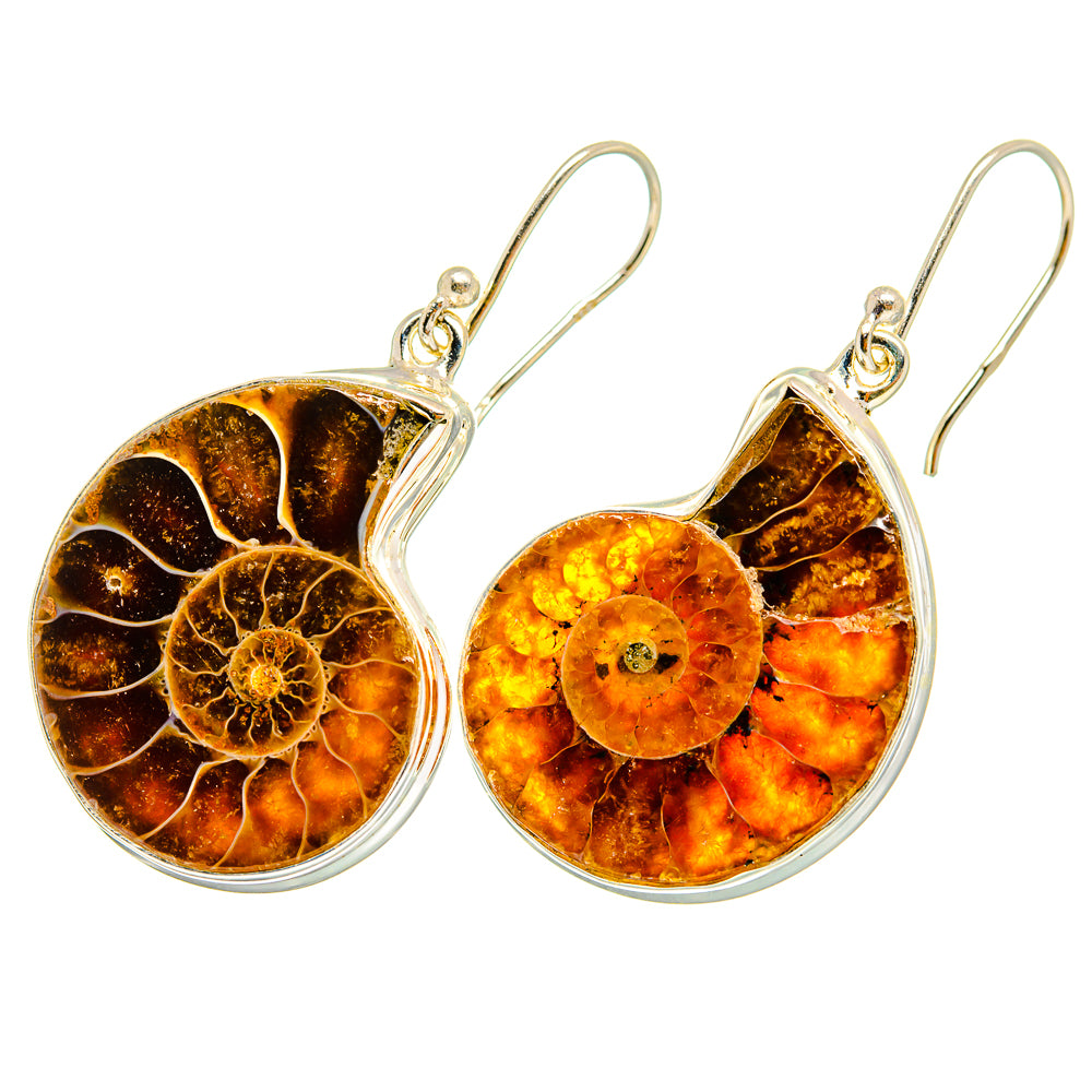 Ammonite Fossil Earrings handcrafted by Ana Silver Co - EARR419696