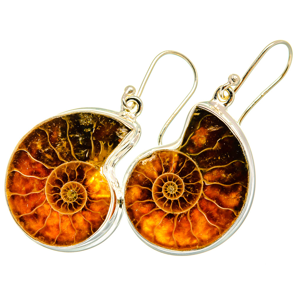Ammonite Fossil Earrings handcrafted by Ana Silver Co - EARR419700