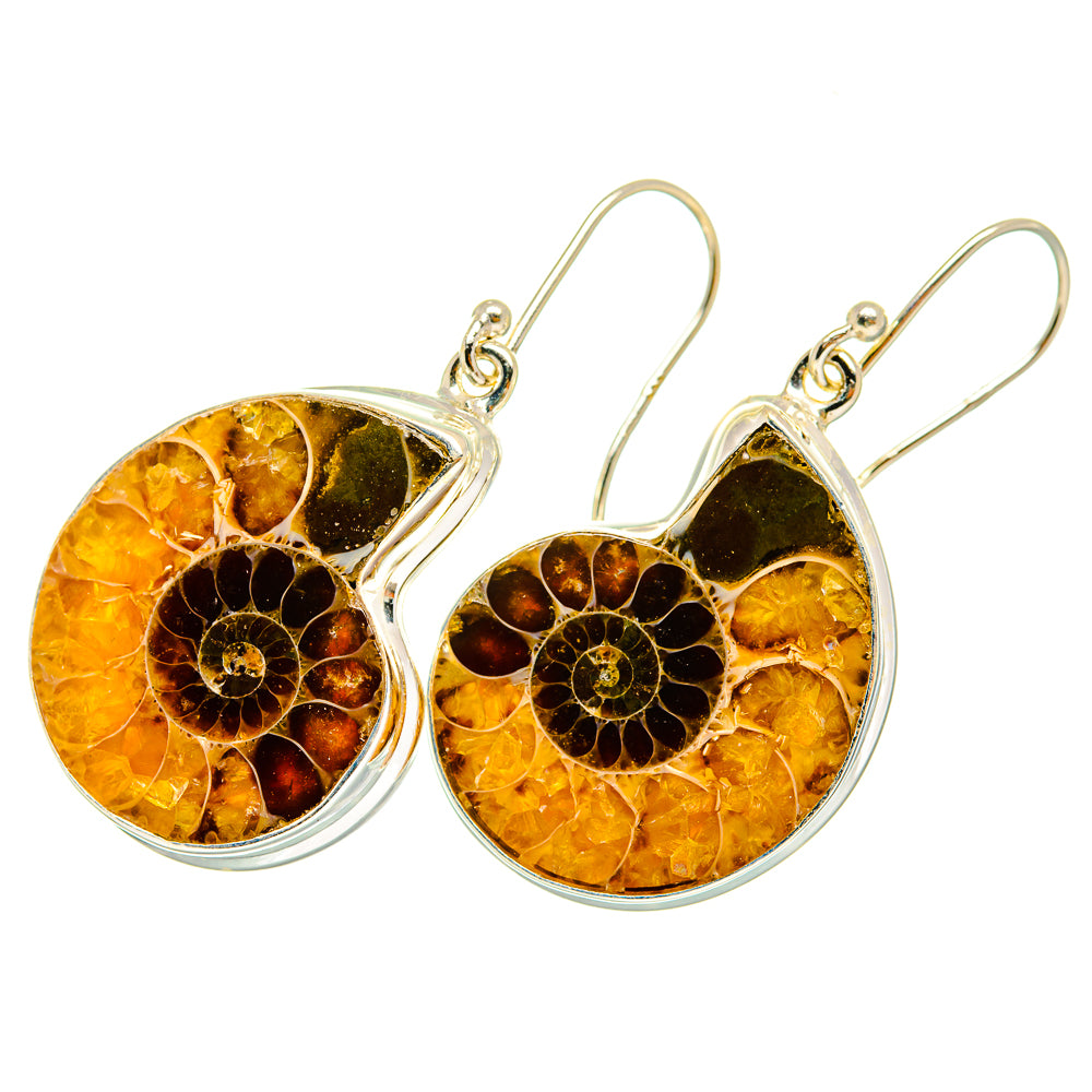 Ammonite fossil drop earrings with amber-orange and black stone in silver settings