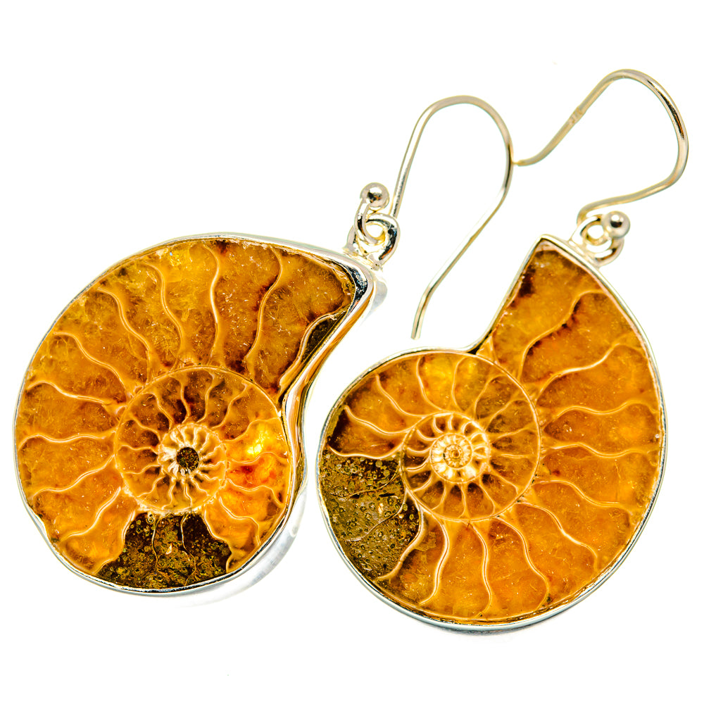 Ammonite fossil earrings with oval amber fossil discs and silver French hooks