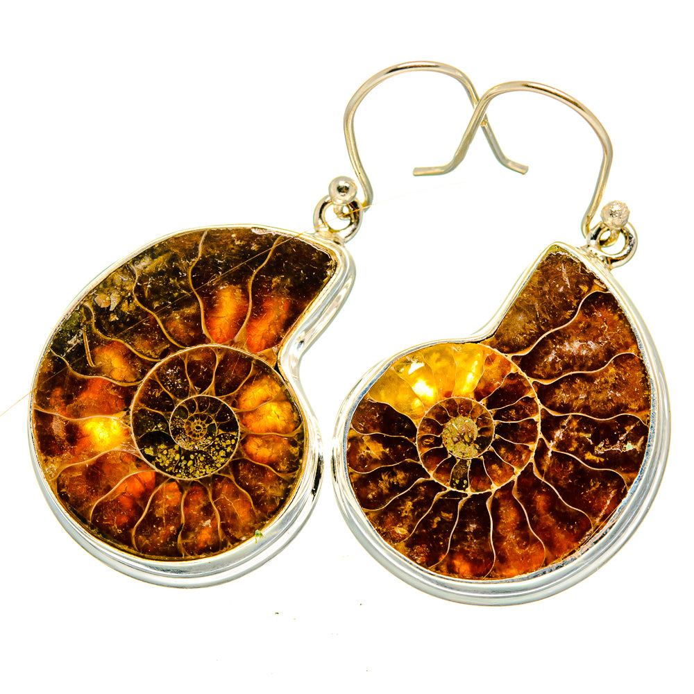 Ammonite Fossil Earrings handcrafted by Ana Silver Co - EARR419789