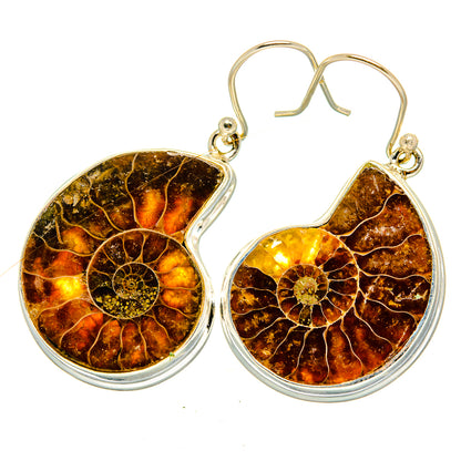 Ammonite Fossil Earrings handcrafted by Ana Silver Co - EARR419789