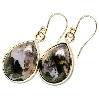 Polished gabbro stone teardrop earrings in 925 sterling silver with fishhook drops