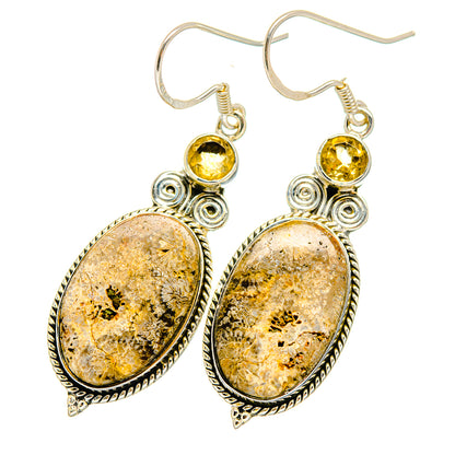 Laguna Lace Agate Earrings handcrafted by Ana Silver Co - EARR420228