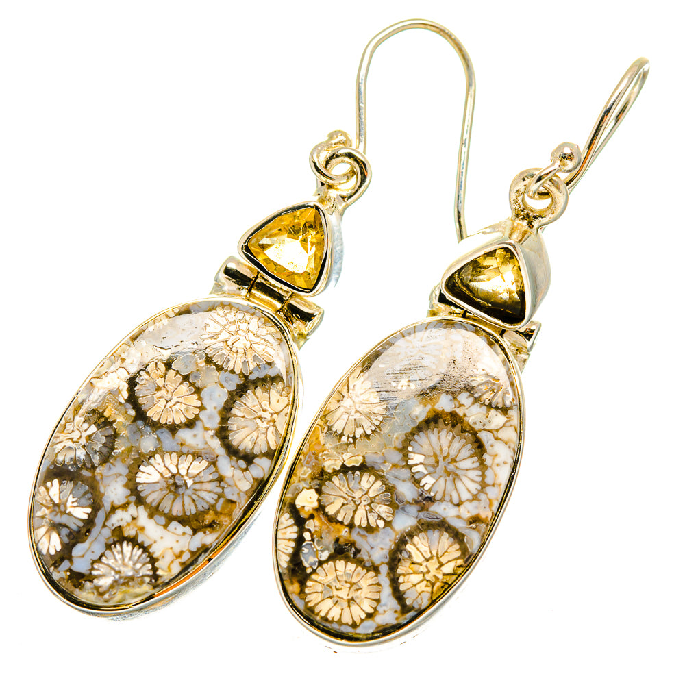 Fossil Coral Earrings handcrafted by Ana Silver Co - EARR420697