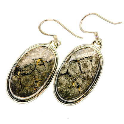 Pyrite Agate Earrings handcrafted by Ana Silver Co - EARR420757