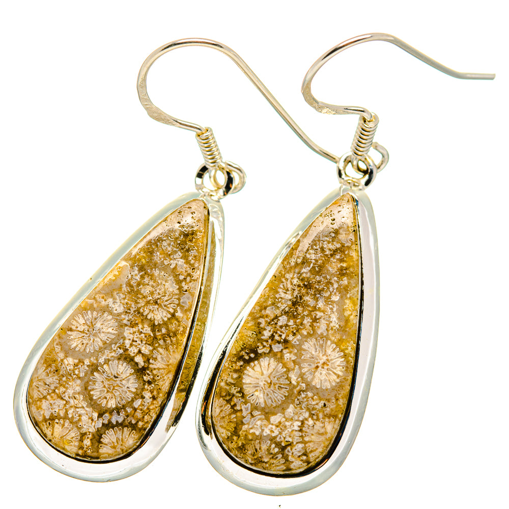 Teardrop fossil coral dangle earrings in sterling silver with gold stone and fishhook backs