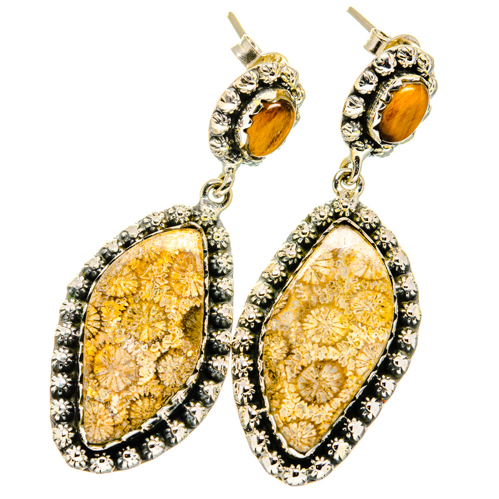 Fossil Coral, Tiger Eye Earrings handcrafted by Ana Silver Co - EARR421136