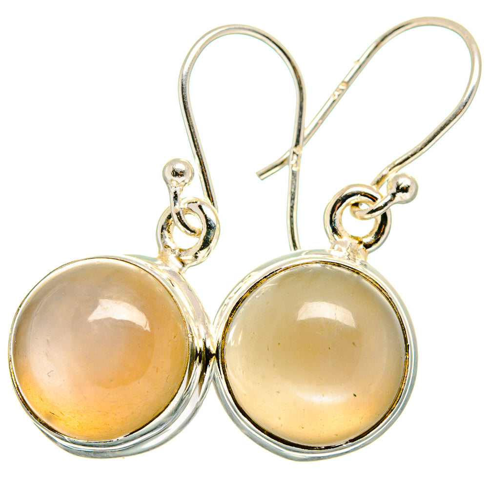Round moonstone drop earrings with silver-tone frames and fishhook-style lever backs, studio view