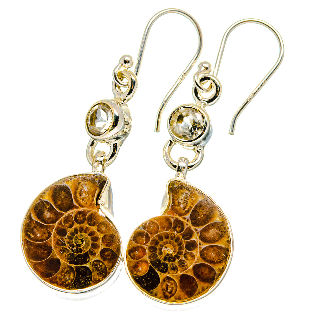 Ammonite Fossil Earrings handcrafted by Ana Silver Co - EARR422335