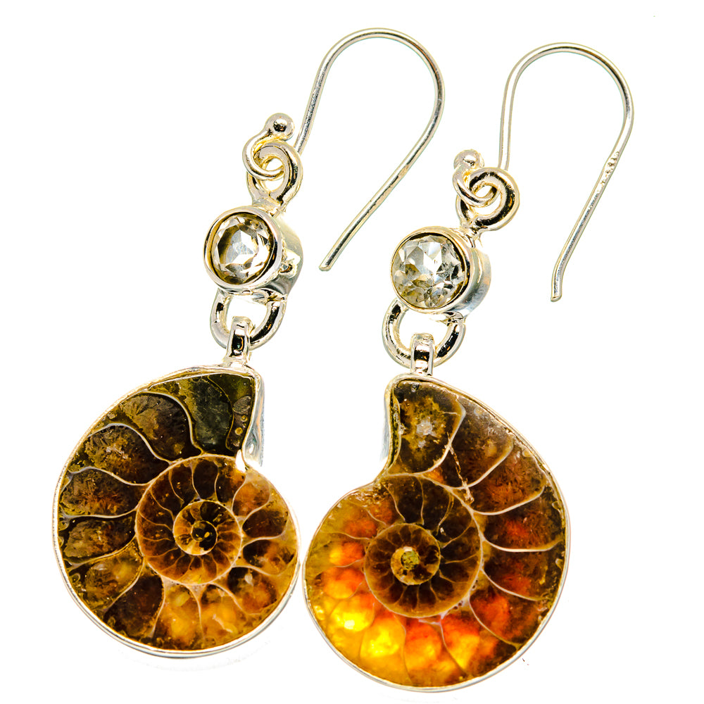 Ammonite Fossil Earrings handcrafted by Ana Silver Co - EARR422338