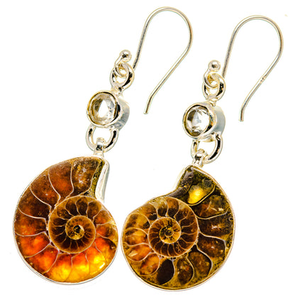 Ammonite Fossil Earrings handcrafted by Ana Silver Co - EARR422399