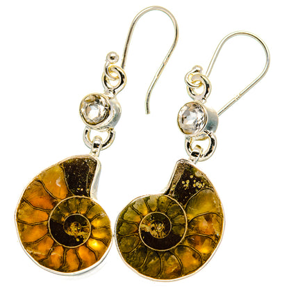 Ammonite Fossil Earrings handcrafted by Ana Silver Co - EARR422403