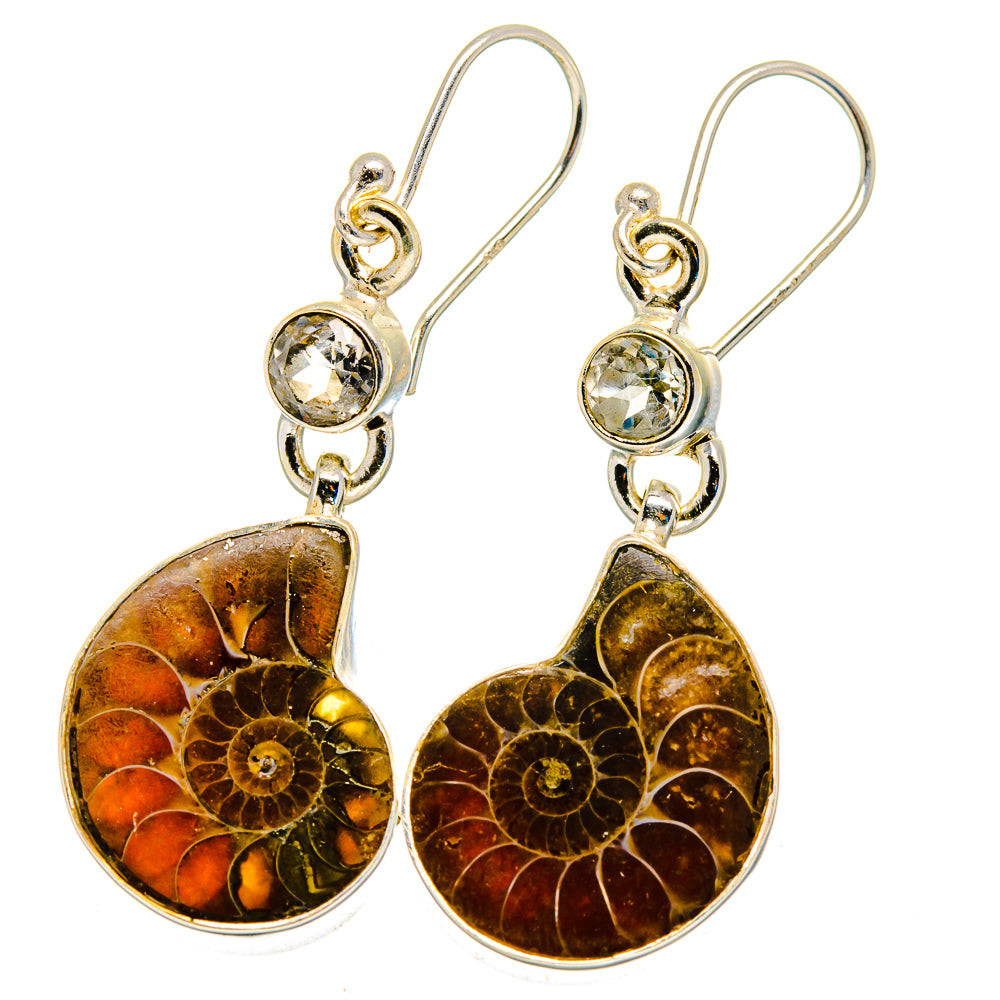 Ammonite Fossil Earrings handcrafted by Ana Silver Co - EARR422444