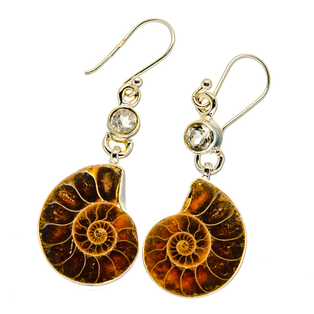 Ammonite Fossil Earrings handcrafted by Ana Silver Co - EARR422463