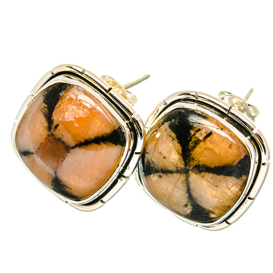 Chiastolite Earrings handcrafted by Ana Silver Co - EARR422614