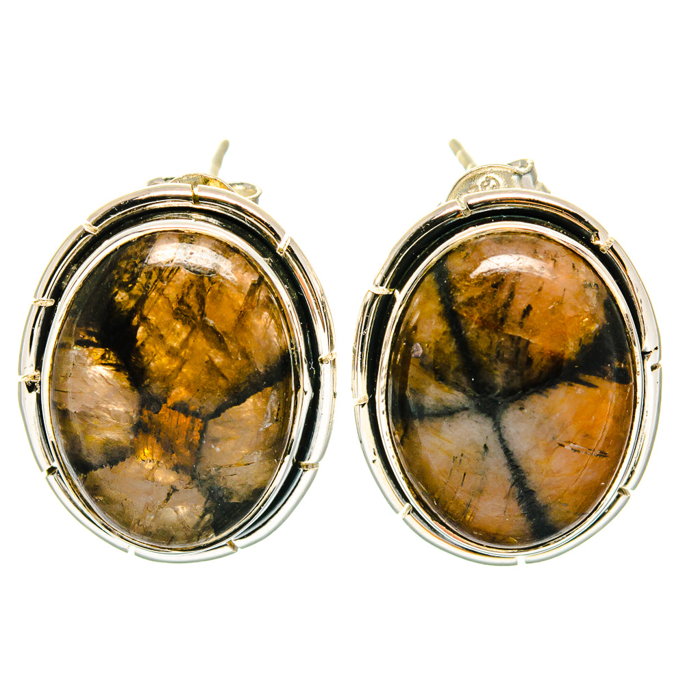 Oval chiastolite drop earrings in 925 sterling silver with gold-brown stone bezel