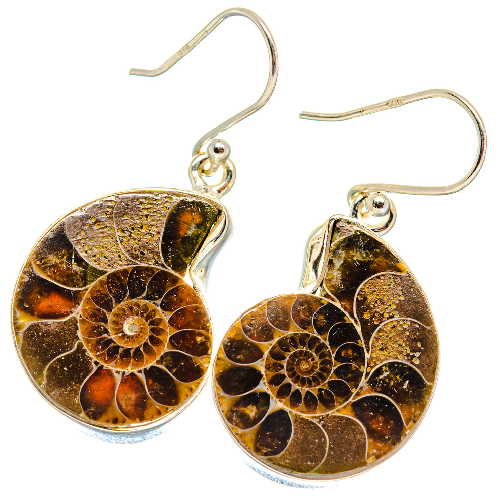 Ammonite Fossil Earrings handcrafted by Ana Silver Co - EARR423785
