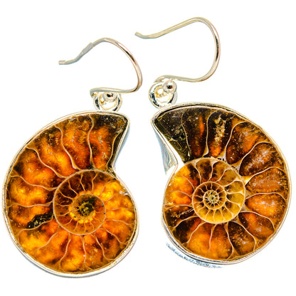 Ammonite Fossil Earrings handcrafted by Ana Silver Co - EARR423801