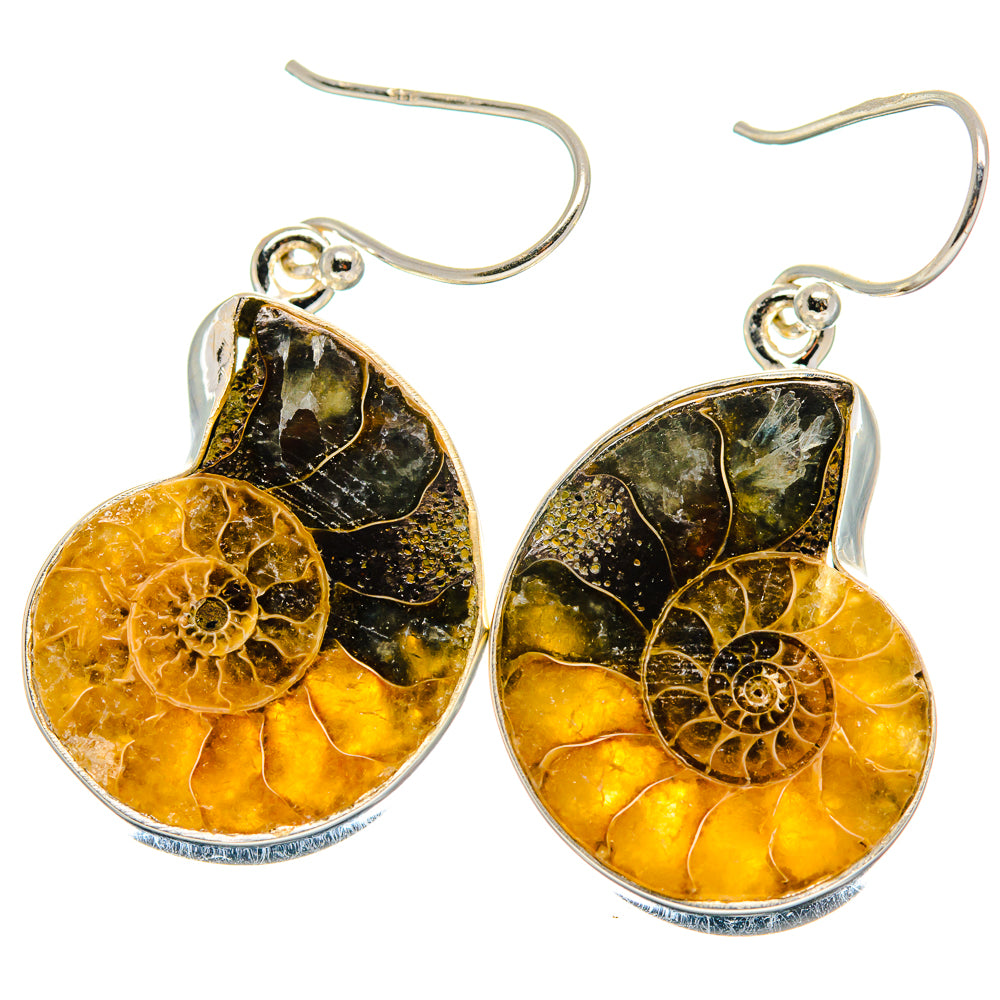 Ammonite fossil earrings, 925 sterling silver, teardrop amber and black dangle with hooks