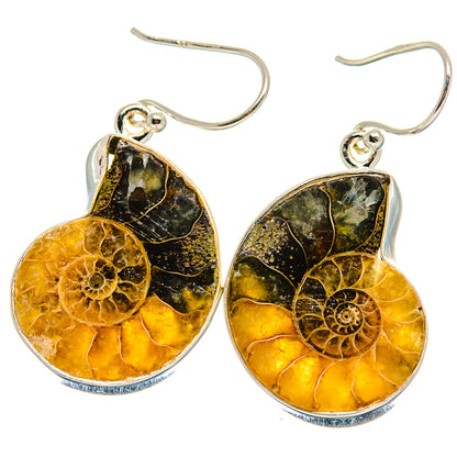 Ammonite fossil earrings, 925 sterling silver, teardrop amber and black dangle with hooks