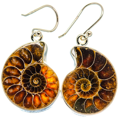 Ammonite Fossil Earrings handcrafted by Ana Silver Co - EARR423984