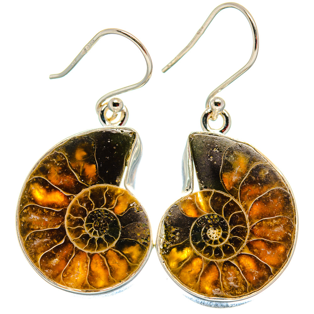Ammonite Fossil Earrings handcrafted by Ana Silver Co - EARR424045