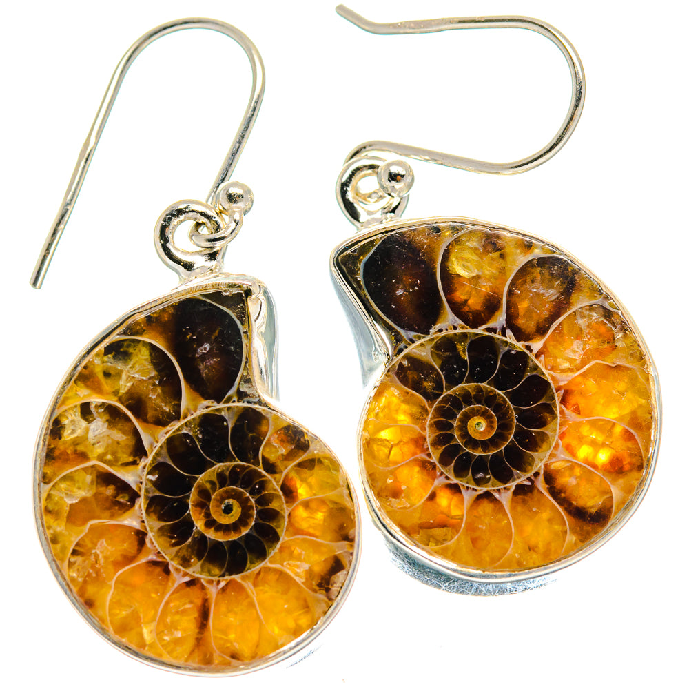 Ammonite Fossil Earrings handcrafted by Ana Silver Co - EARR424154
