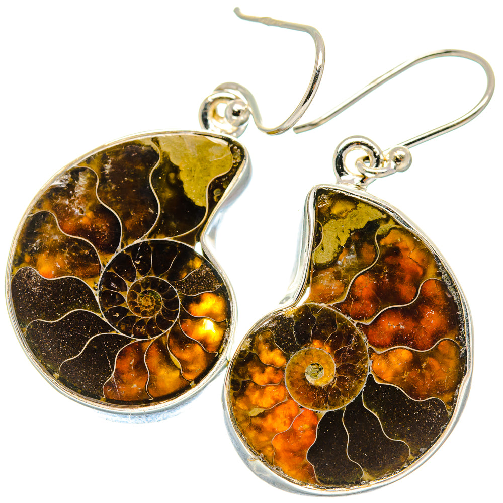 Ammonite Fossil Earrings handcrafted by Ana Silver Co - EARR424192