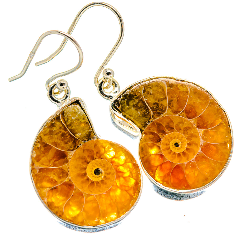 Ammonite Fossil Earrings handcrafted by Ana Silver Co - EARR424207
