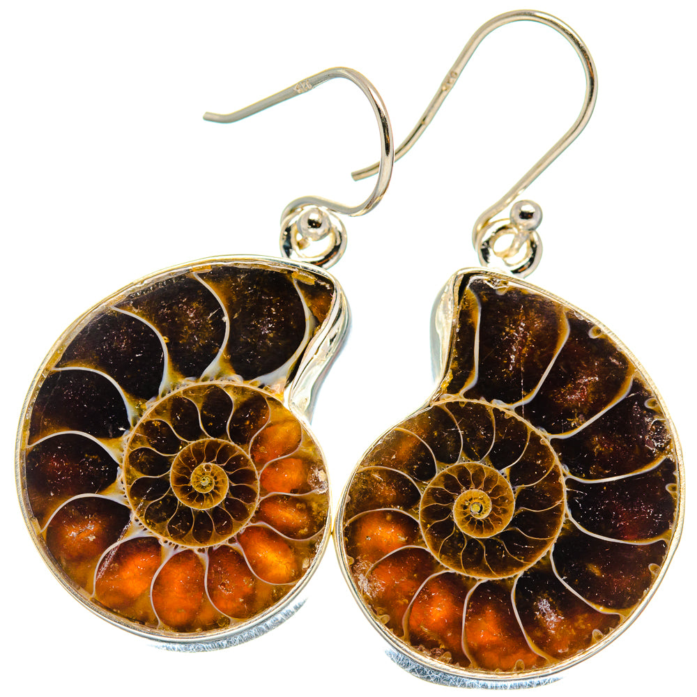 Ammonite Fossil Earrings handcrafted by Ana Silver Co - EARR424226