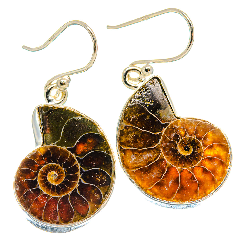 Ammonite Fossil Earrings handcrafted by Ana Silver Co - EARR424255