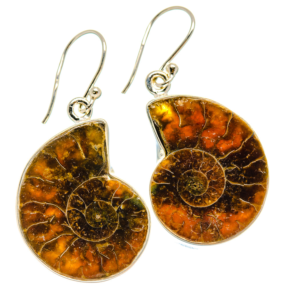 Ammonite Fossil Earrings handcrafted by Ana Silver Co - EARR424328